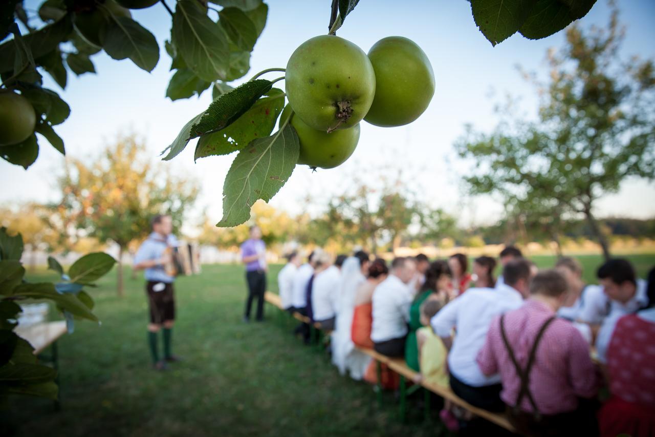 Mostlandhof Purgstall an der Erlauf Εξωτερικό φωτογραφία